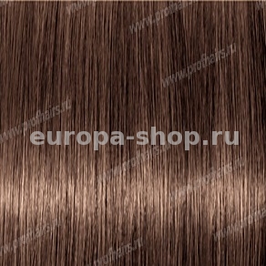 Revlonissimo Colorsmetique 6.3    60 