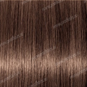 Revlonissimo Colorsmetique 6.3    60 