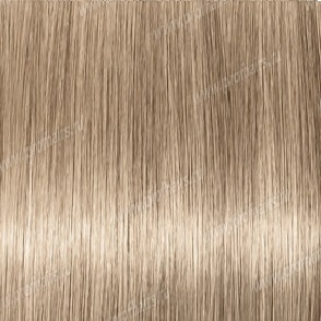 Revlon Professional Revlonissimo Colorsmetique 10.1      60 