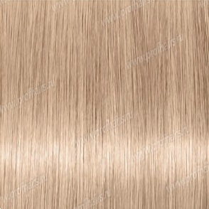 Revlon Professional Revlonissimo Colorsmetique 10.2      60 