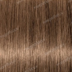 Matrix Socolor beauty 8NW     90 
