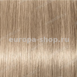 Revlon Professional Revlonissimo Colorsmetique 10.01   ,     60 
