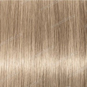 Revlon Professional Revlonissimo Colorsmetique 10.01   ,     60 