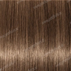 Revlonissimo Colorsmetique 7.13  - 60 