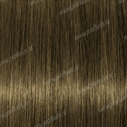 Lebel Materia Layfer CB6    80 .