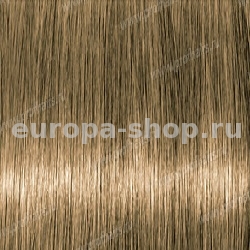 Lebel Materia Layfer B8    80 .