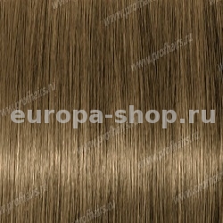 Lebel Materia Layfer B7    80 .