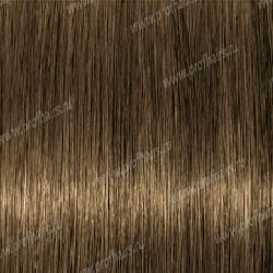 Lebel Materia Layfer B6    80 .