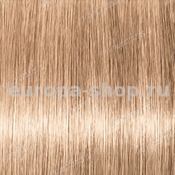 Lebel Materia Layfer WB9    80 .