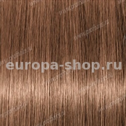 Lebel Materia Layfer WB7    80 .
