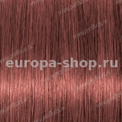 Lebel Materia Layfer PBe8    80 .