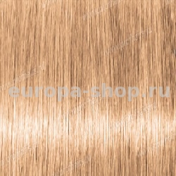 Lebel Materia Layfer OBe10    80 .