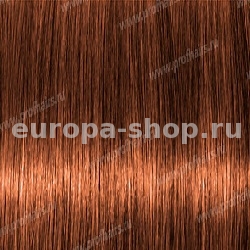 Lebel Materia Layfer OBe6    80 .