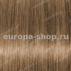 Lebel Materia Layfer Be8    80 .