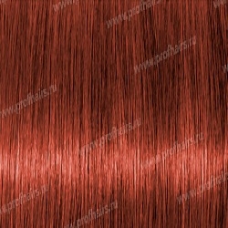 Lebel Materia Layfer K8    80 .