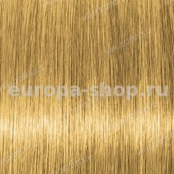Lebel Materia Layfer G10    80 .