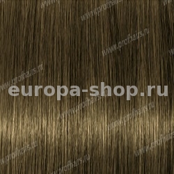 Lebel Materia CB6   80 .