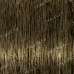 Lebel Materia CB6   80 .