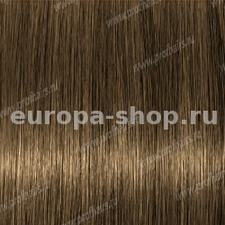 Lebel Materia B6   80 .