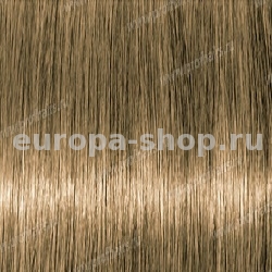 Lebel Materia B8   80 .