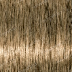 Lebel Materia B8   80 .