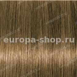 Lebel Materia Grey CB9   120 .