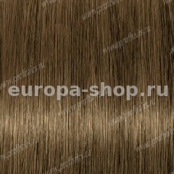 Lebel Materia Grey B8   120 .