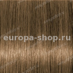 Lebel Materia Grey B9   120 .
