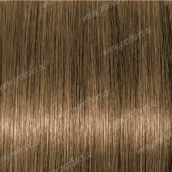 Lebel Materia Grey B9   120 .