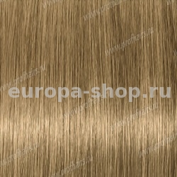 Lebel Materia Grey B10   120 .
