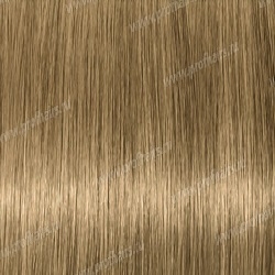 Lebel Materia Grey B10   120 .