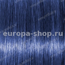 Kydra Primary Bleu   , 60 