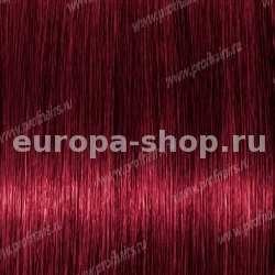 Kydra Primary Magenta   , 60 