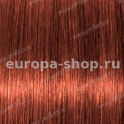 Kydra Primary Orange   , 60 