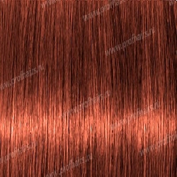 Kydra Primary Orange   , 60 