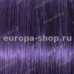 Kydra Primary Violet   , 60 
