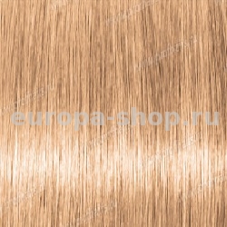 Kydra Softing ROSE CHAMPAGNE PERLE  , 60 
