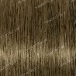 Lebel Materia CB7   80 .