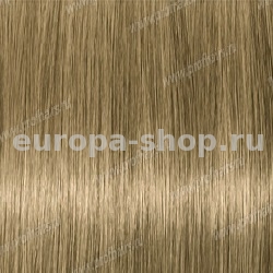 Lebel Materia Grey CB10   120 .