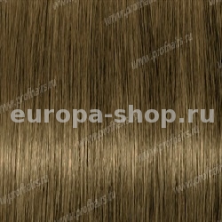 Lebel Materia Grey CB8   120 .
