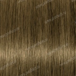 Lebel Materia Grey CB8   120 .
