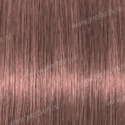 Lebel Materia Grey PBe10   120 .