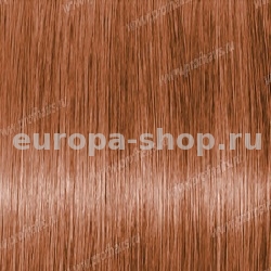 Lebel Materia Grey O10   120 .