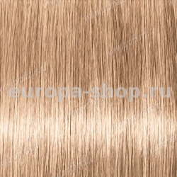 Lebel Materia WB9   80 .