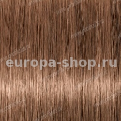 Lebel Materia WB7   80 .
