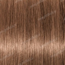 Lebel Materia WB7   80 .