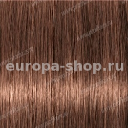Lebel Materia WB6   80 .