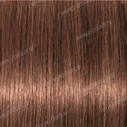 Lebel Materia WB6   80 .