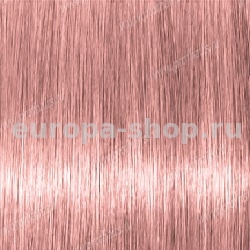 Lebel Materia PBe10   80 .