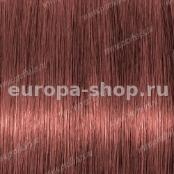 Lebel Materia PBe8   80 .
